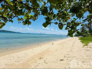 For sale land in Ko Samui, Surat Thani