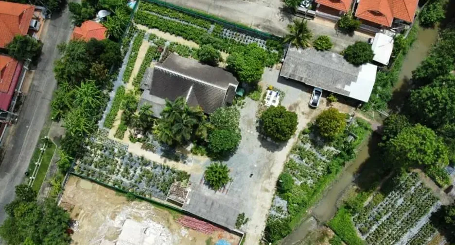 For sale 5 bedrooms house in San Sai, Chiang Mai