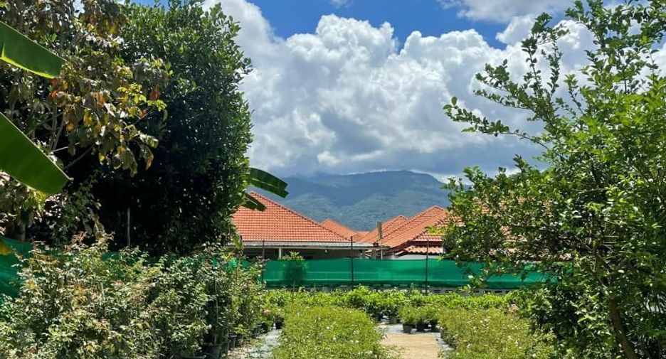 For sale 5 bedrooms house in San Sai, Chiang Mai