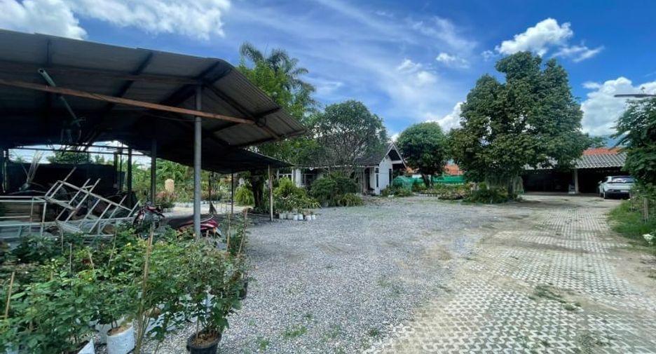 For sale 5 bedrooms house in San Sai, Chiang Mai
