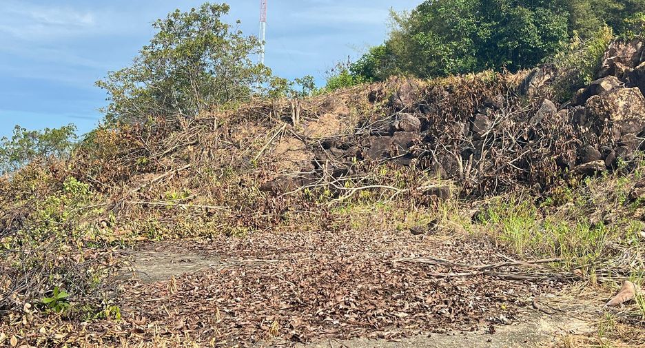 For sale land in Ko Samui, Surat Thani