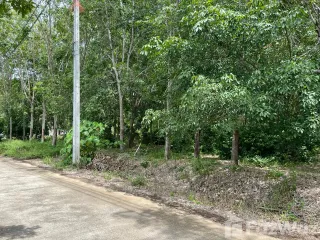 ขาย ที่ดิน ใน เกาะสมุย, สุราษฎร์ธานี