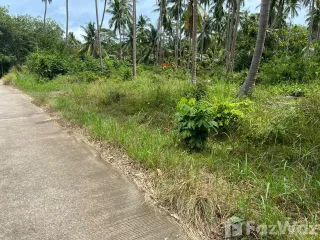 ขาย ที่ดิน ใน เกาะสมุย, สุราษฎร์ธานี