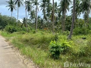 ขาย ที่ดิน ใน เกาะสมุย, สุราษฎร์ธานี