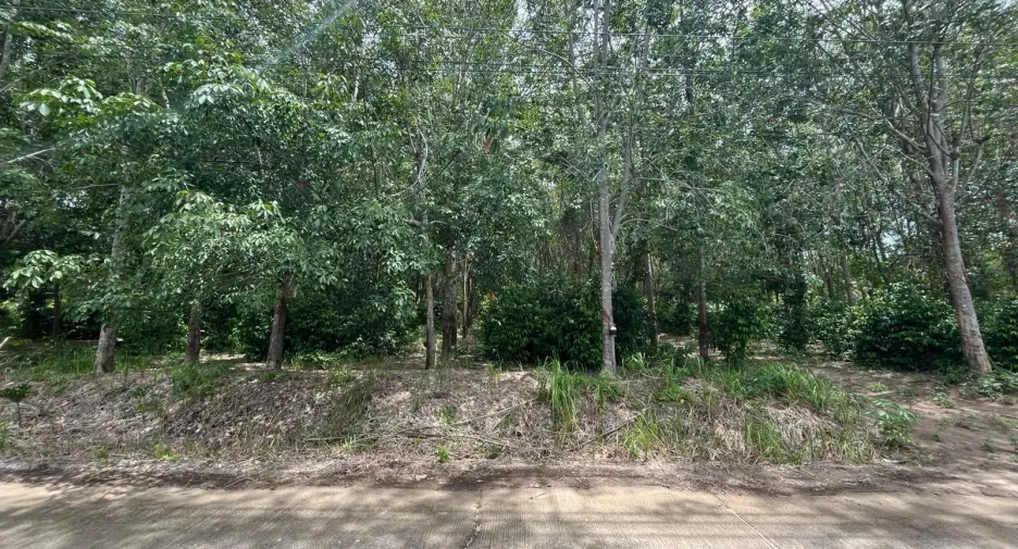 For sale land in Ko Samui, Surat Thani