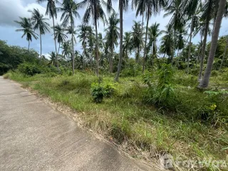 ขาย ที่ดิน ใน เกาะสมุย, สุราษฎร์ธานี