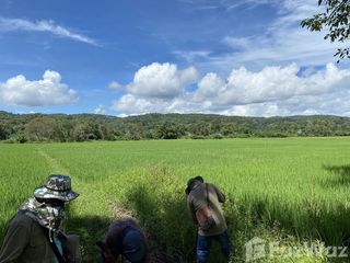 Terreno en venta en Mae Taeng, Chiang Mai