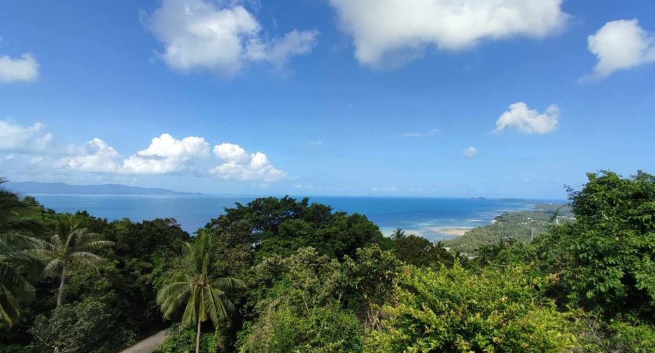 Grundstück zum Kauf in Ko Pha-ngan, Surat Thani