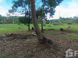 Grundstück zum Kauf in Ko Samui, Surat Thani