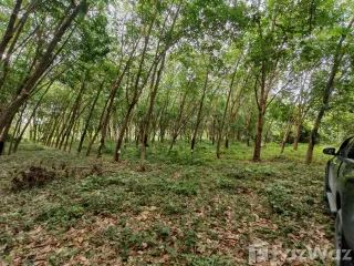 出售 土地 在 苏梅岛, 素叻