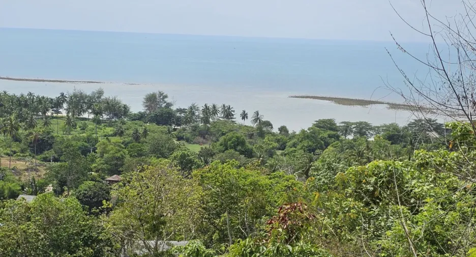 For sale land in Ko Samui, Surat Thani