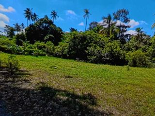 For sale land in Ko Samui, Surat Thani