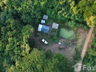 出售 土地 在 Kaeng Krachan, Phetchaburi