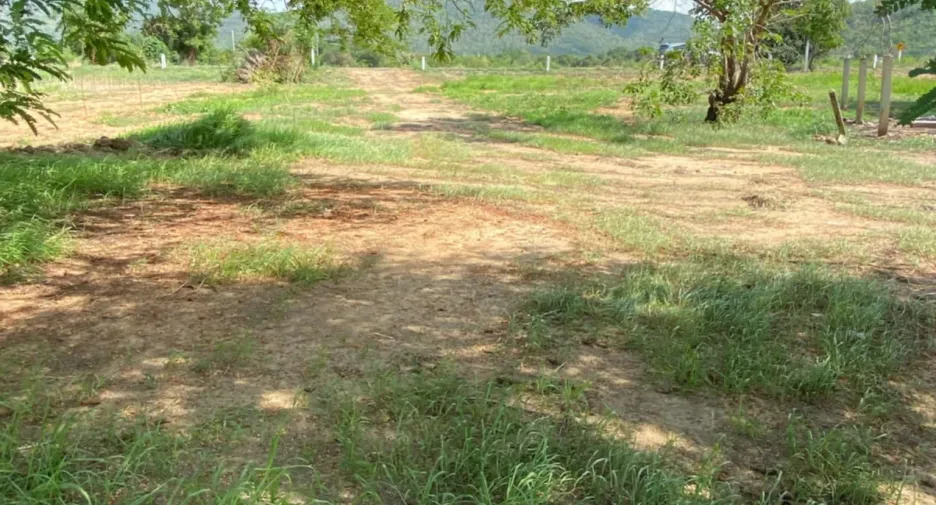 For sale land in Phatthana Nikhom, Lopburi