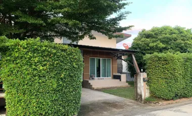 For rent 4 bedrooms house in San Sai, Chiang Mai