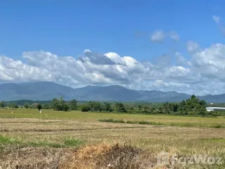 For sale land in Mae Rim, Chiang Mai