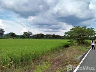 For sale land in Mae Rim, Chiang Mai