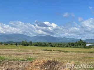 Grundstück zum Kauf in Mae Rim, Chiang Mai