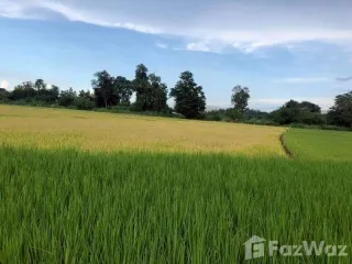 For sale land in Mae Rim, Chiang Mai
