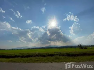For sale land in Mae Rim, Chiang Mai