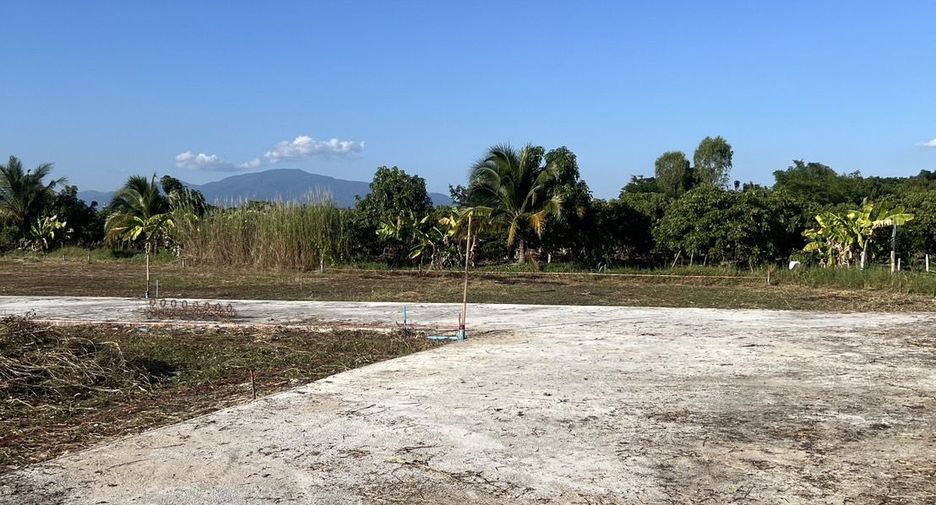 For sale land in San Pa Tong, Chiang Mai