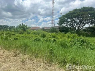 For sale land in San Kamphaeng, Chiang Mai