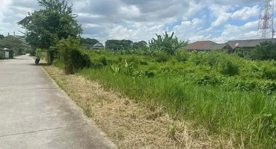 Grundstück zum Kauf in San Kamphaeng, Chiang Mai