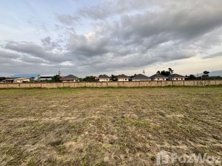 For sale land in San Sai, Chiang Mai