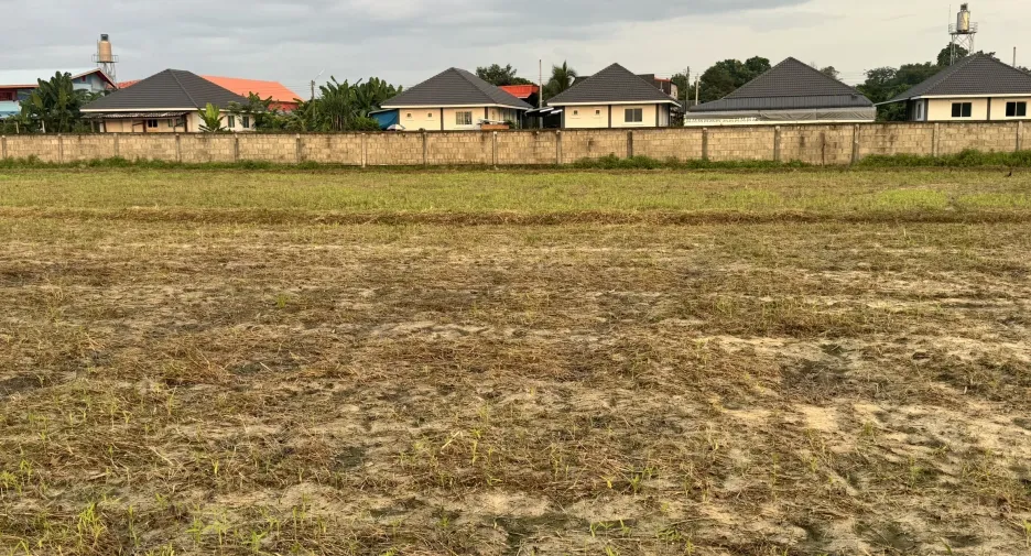 For sale land in San Sai, Chiang Mai