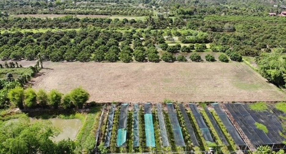 For sale land in Saraphi, Chiang Mai