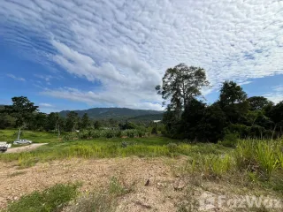 For sale land in Ko Samui, Surat Thani