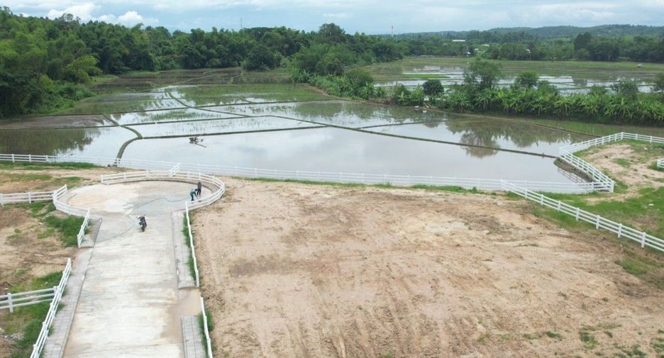 For sale land in Mae Rim, Chiang Mai
