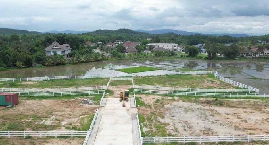 For sale land in Mae Rim, Chiang Mai