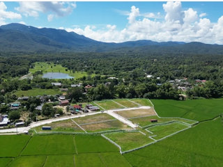 出售 土地 在 Mae Rim, Chiang Mai