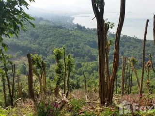 For sale land in Ko Samui, Surat Thani