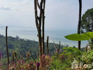 For sale land in Ko Samui, Surat Thani