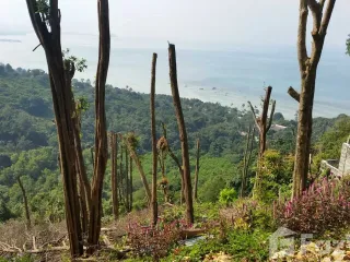 For sale land in Ko Samui, Surat Thani