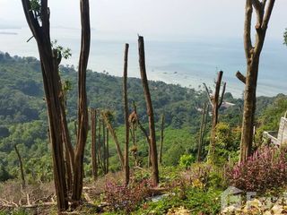 For sale land in Ko Samui, Surat Thani