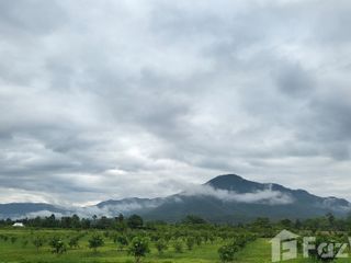 For sale land in San Kamphaeng, Chiang Mai