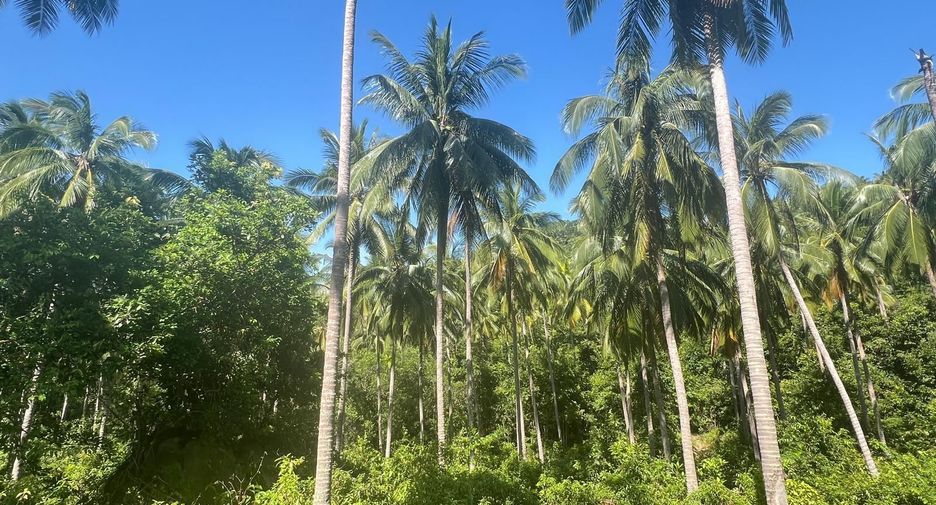 For sale land in Ko Samui, Surat Thani