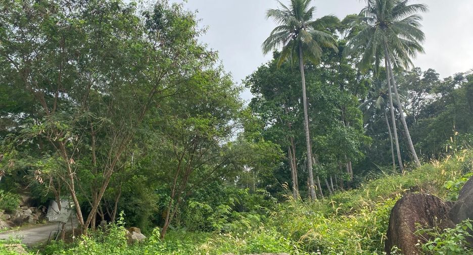For sale land in Ko Samui, Surat Thani