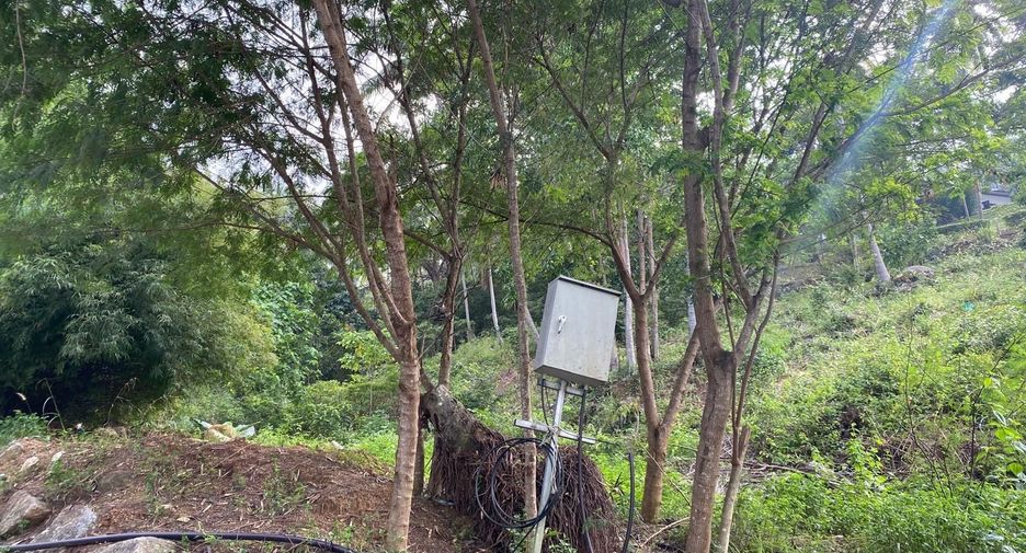 For sale land in Ko Samui, Surat Thani