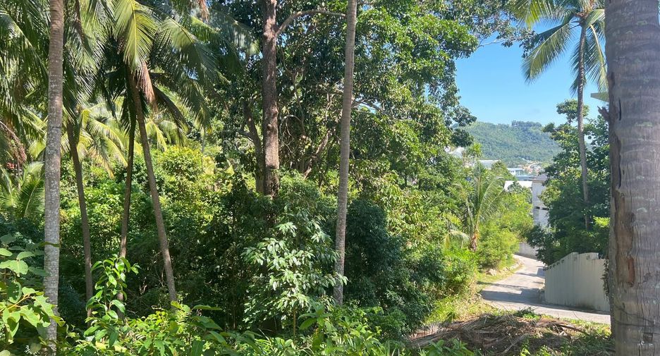 For sale land in Ko Samui, Surat Thani