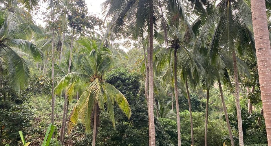 For sale land in Ko Samui, Surat Thani