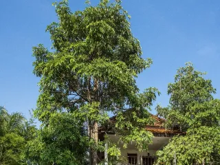 For sale 6 bedrooms villa in Cha Am, Phetchaburi