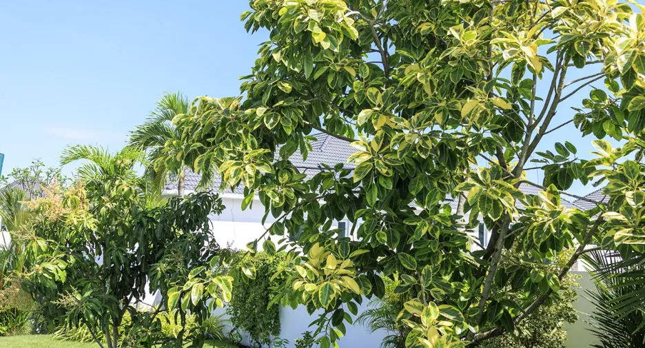 For sale 3 bedrooms villa in Hua Hin, Prachuap Khiri Khan