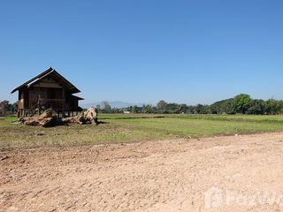出售 土地 在 San Sai, Chiang Mai