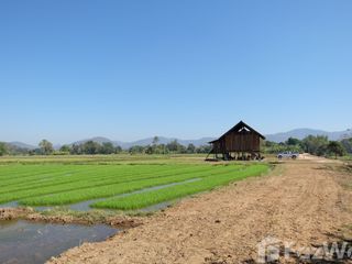 出售 土地 在 San Sai, Chiang Mai