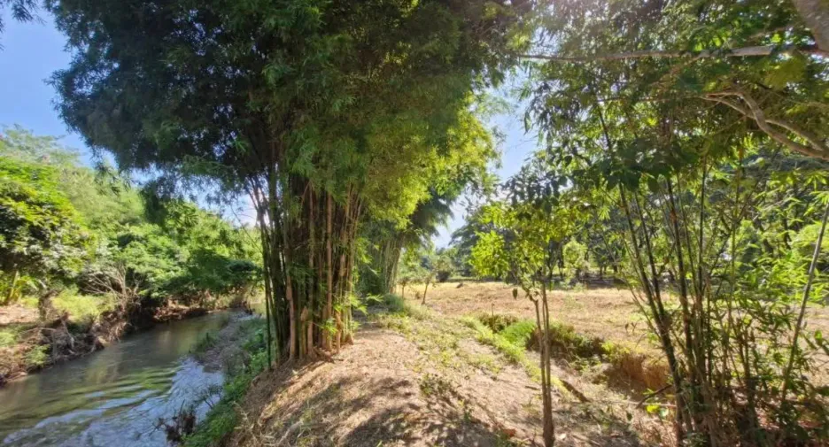 For sale 4 bedrooms house in Rong Kwang, Phrae