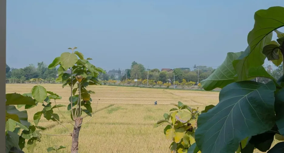 For sale and for rent 4 bedrooms villa in Mueang Chiang Mai, Chiang Mai